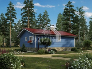 Проект дома VH "56-13" Талисман